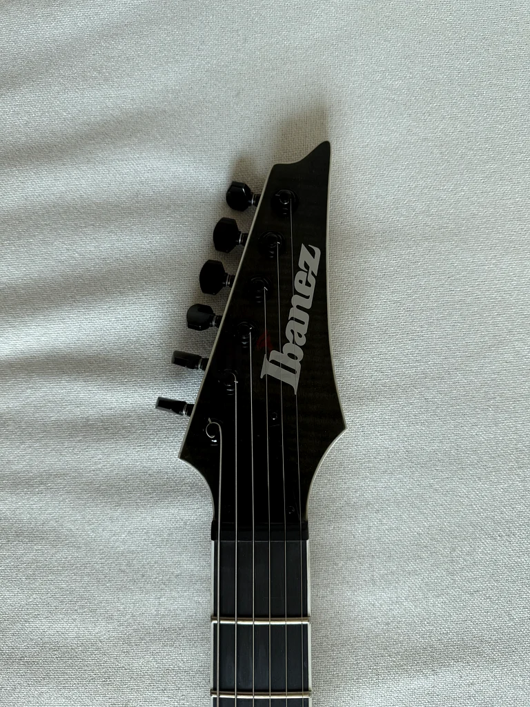 Ibanez RGA Iron Label
Transparent Gray Flat
RGAIX6FM63208864600577113
