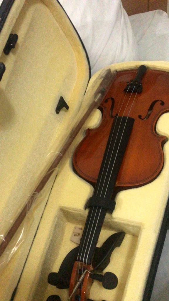 Brand new violin for sale 4/463229682110851111