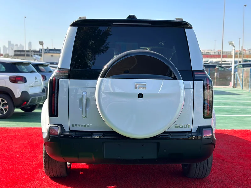 Rox 01 VIP 6 SEATERS LONG RANGE 202562930625701635114