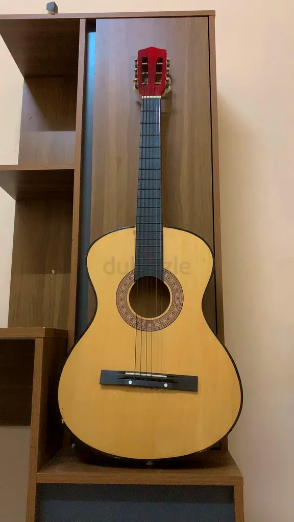 Guitar