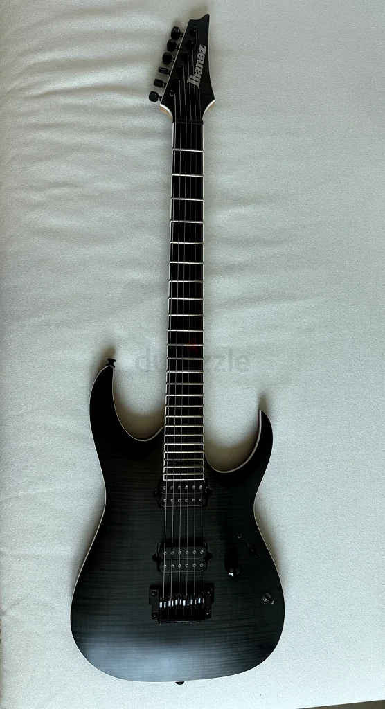 Ibanez RGA Iron Label
Transparent Gray Flat
RGAIX6FM63208864600577111