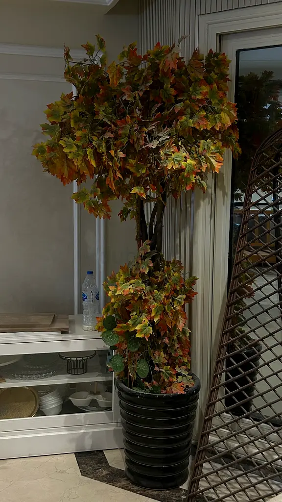 Tree Decor