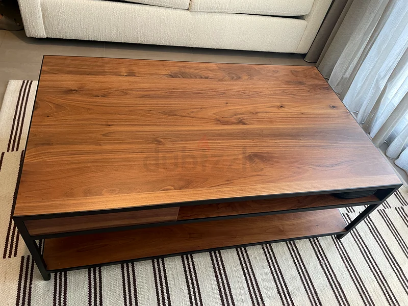 Coffee Table (Crate and Barrel)63219829300866111