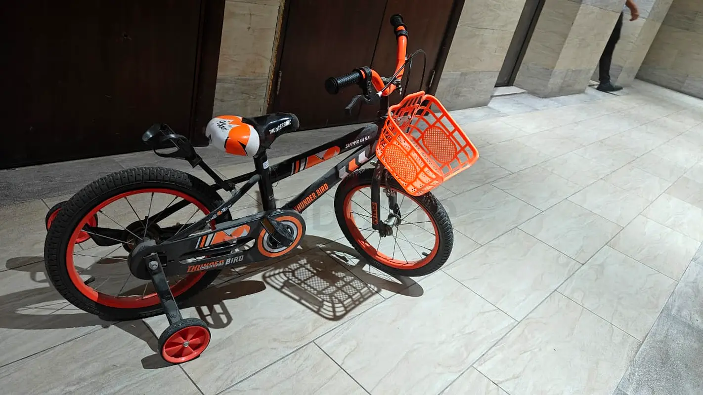 Cycle63245215979393111