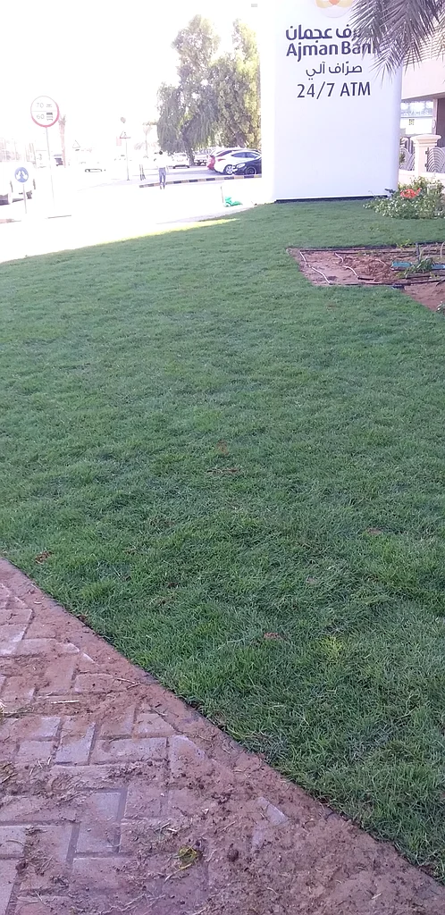 Landscapeing and gardening63441811078146113