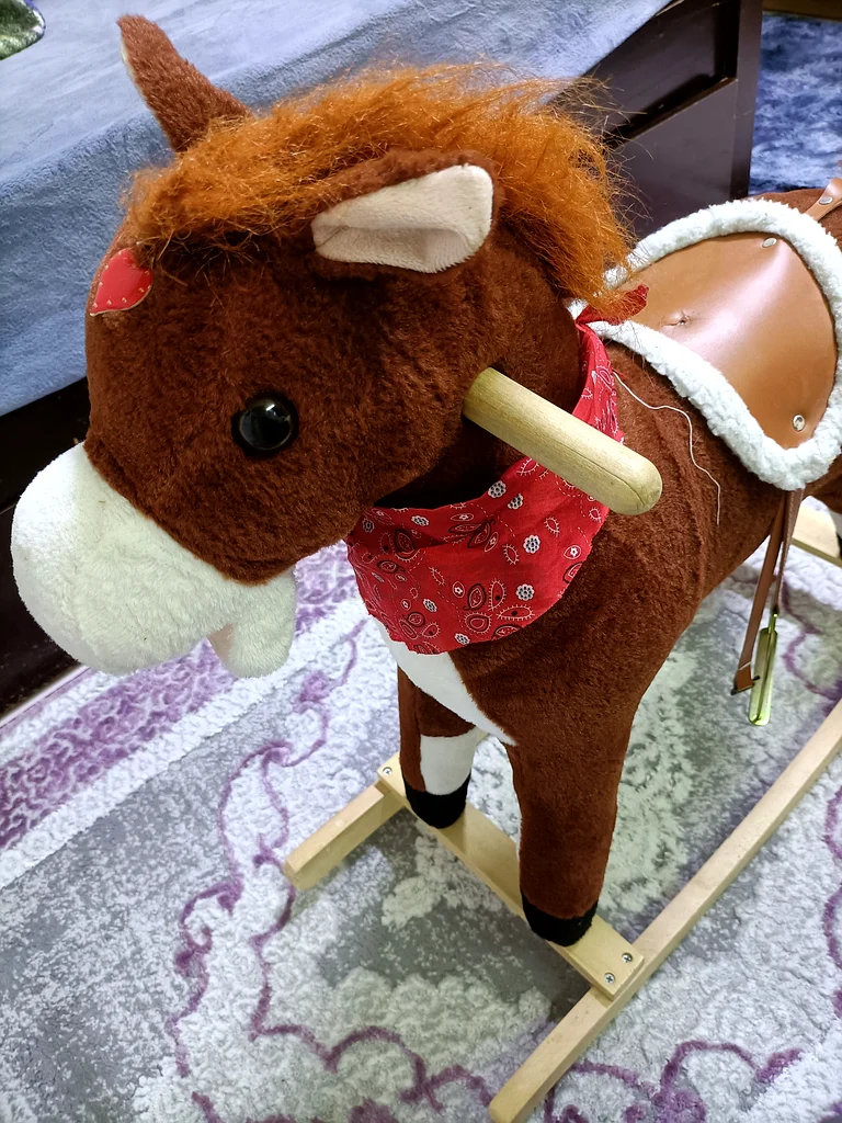 Riding horse63196627011203111