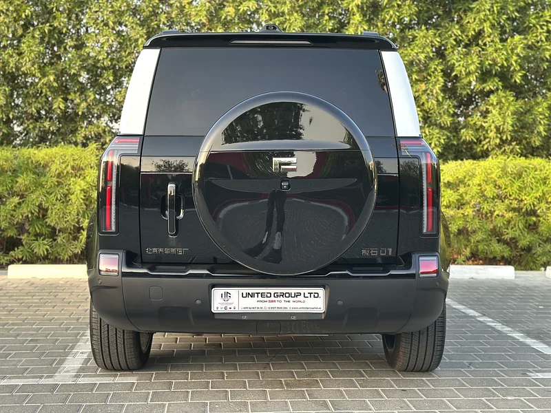 ROX 01 VIP /  2025  /  HYBRID / Long-Range / New 6 seats63398478243971113