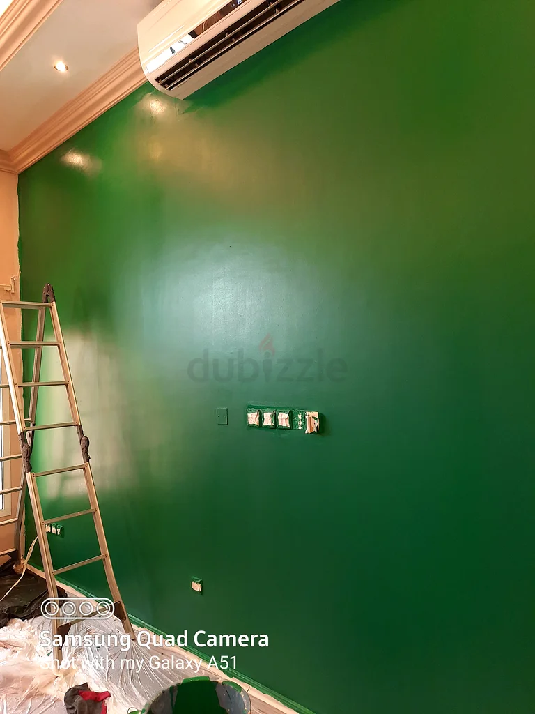 Houses paint services63218320346627111