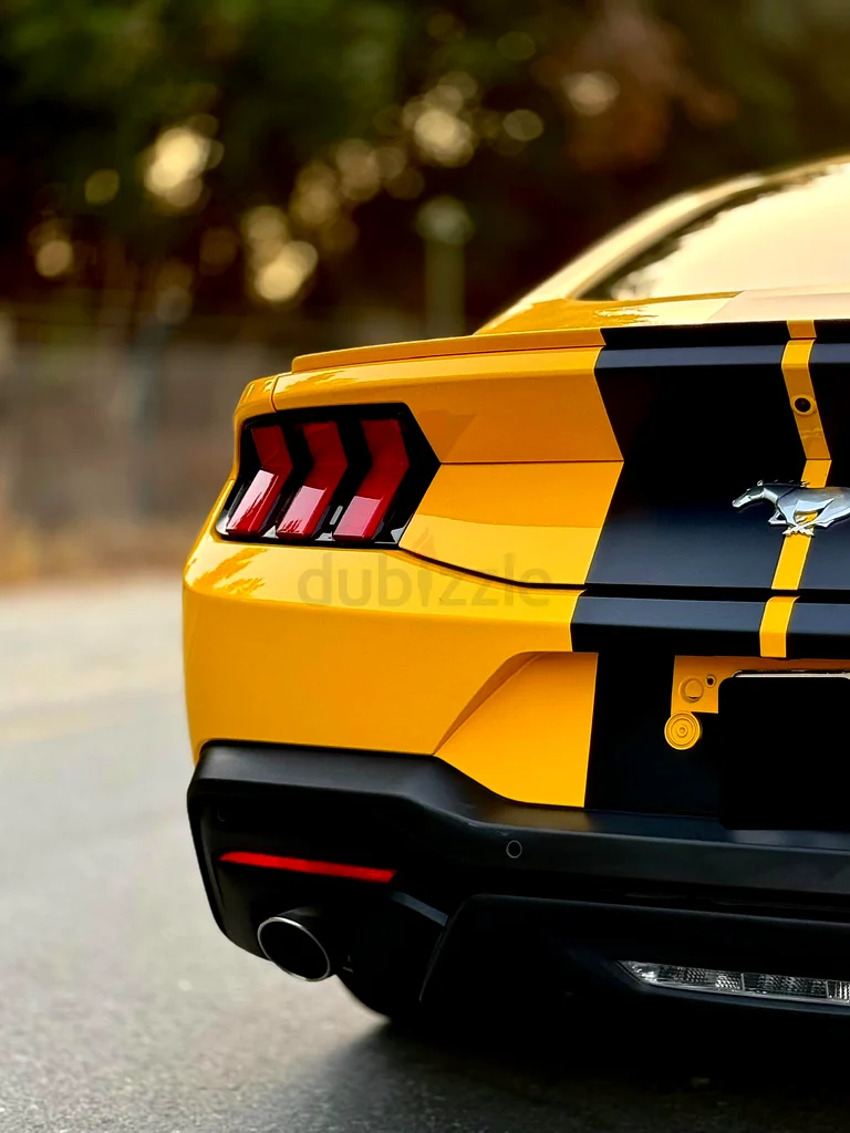 MUSTANG SPECIAL COLOR in perfect condition63399885729794114