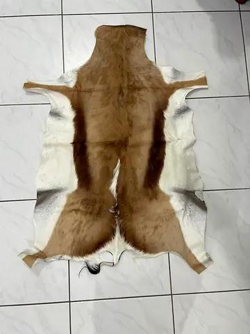 Genuine Decorative Animal Hide for Collectors Deer Skin