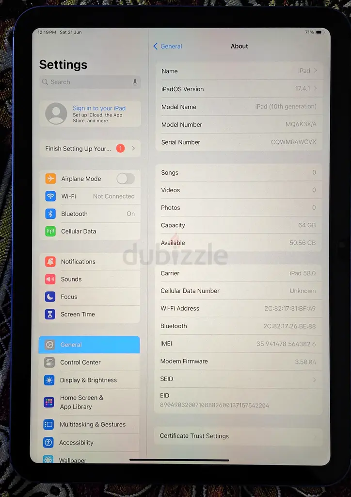 Blue Apple iPad - Sleek  Stylish!63214896862467115