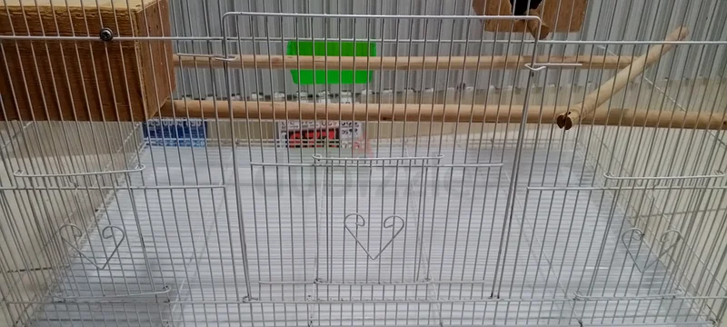 Birds cage with accessories63232161891202111