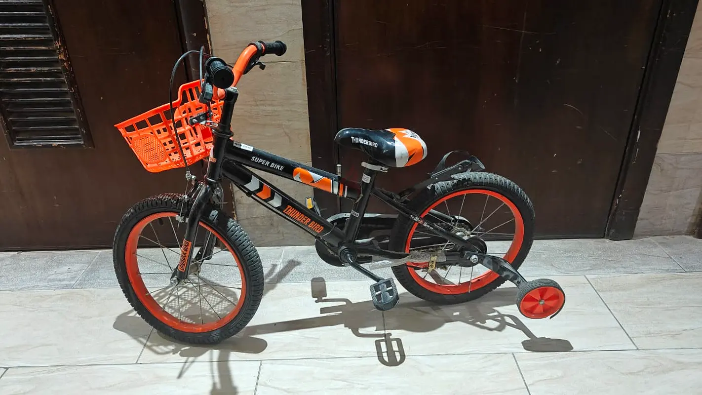Vibrant Childrens Bike for Adventure Seekers!