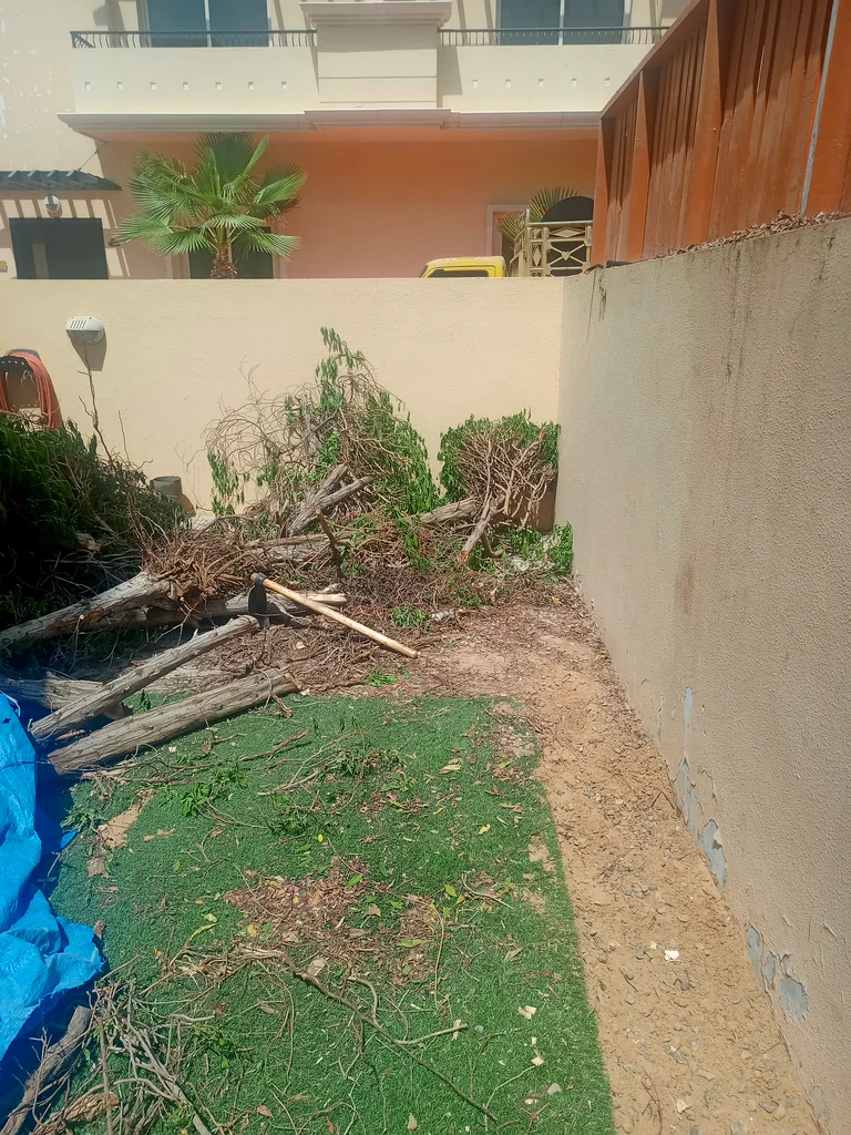 Garden maintenance and trees cutting63181797790082111