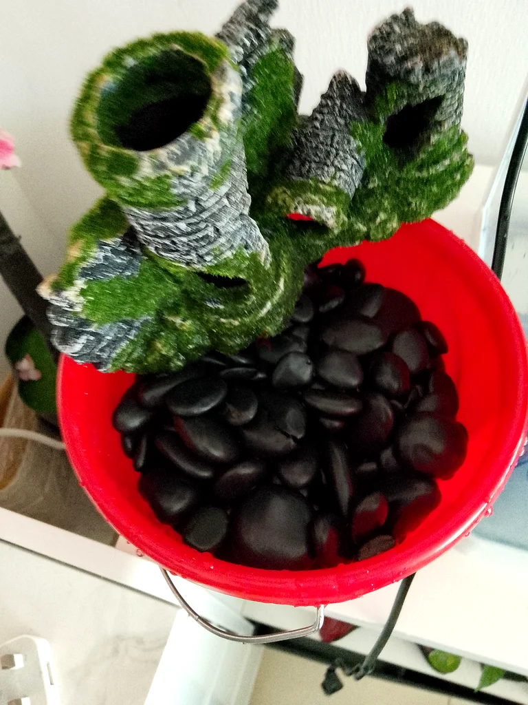 حوض أسماك مع الأسماك متضمن63232160024706111