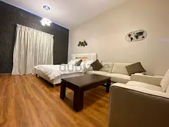 Luxury Furnished Studio Street 2 bld 80