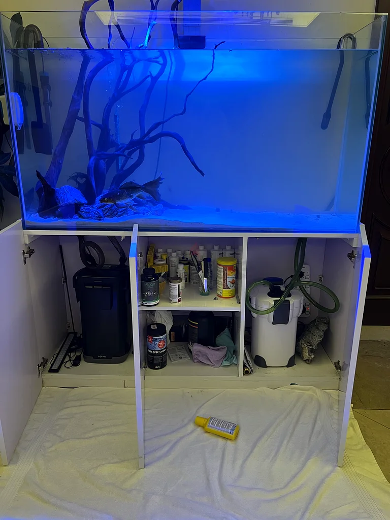 Aquarium63232158418819111