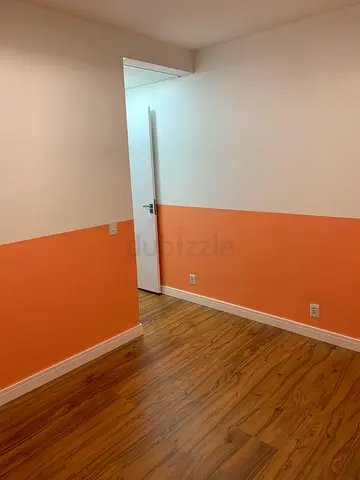 painter