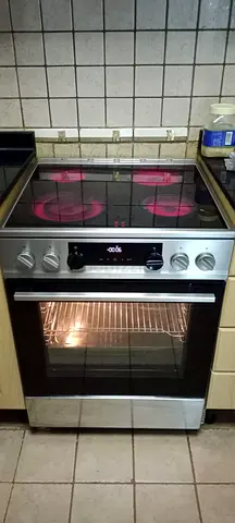 Modern Guranje 60/60cm size cooking range new model Stainless Steel Electric Oven for Sale!