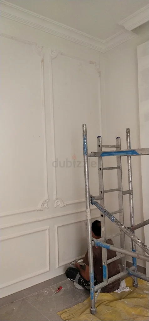 Luxury apartments painting work63184732812673111