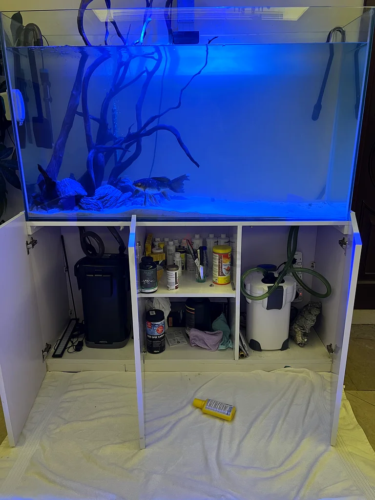 Aquarium632321584188191121