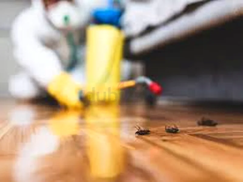 The best pest control company in Dubai63182283181186111