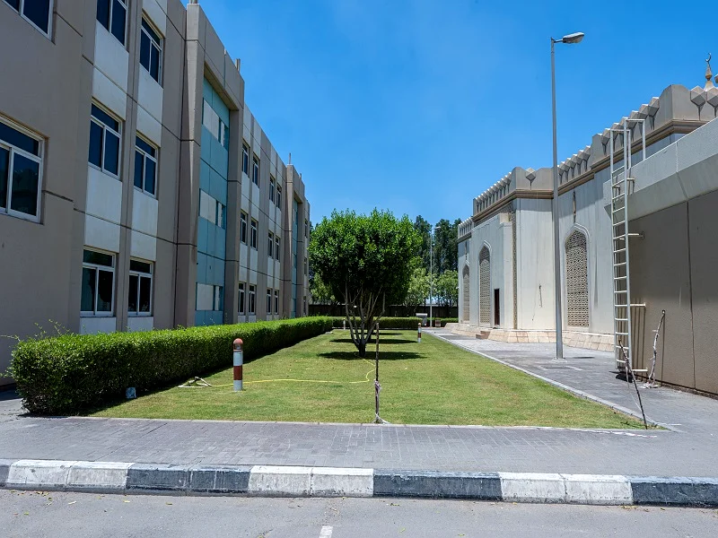 متوفر سكن لكبار العمال في مصفح64061932434946110