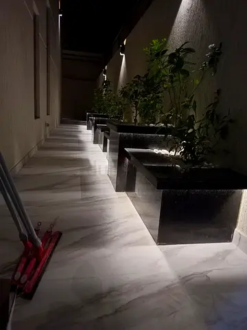 Stylish Outdoor Planters for Your Garden