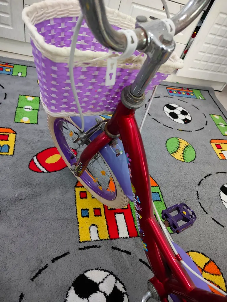 Cute and Colorful Kids Bicycle with Basket