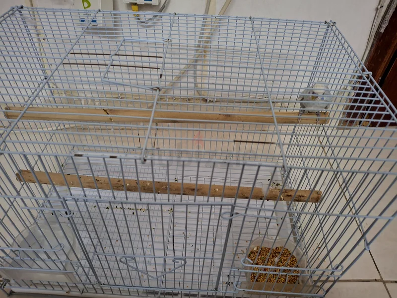 Large Metal Cage for Pets - Perfect for Birds or Small Animals!631726839411221127