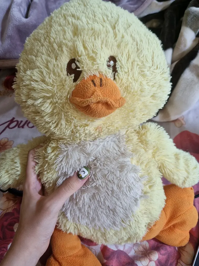Adorable Large Stuffed Duck Plush Toy