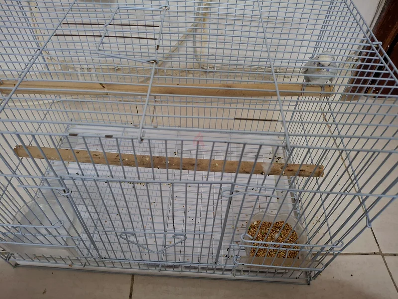 Large Metal Cage for Pets - Perfect for Birds or Small Animals!63172683941122113