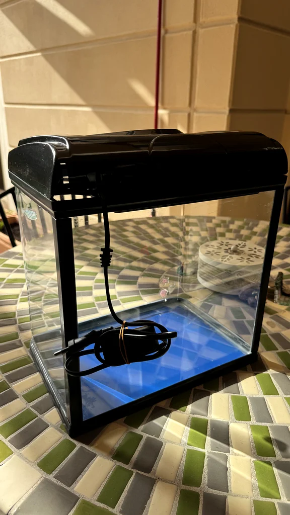 5 Gallon Fish Tank- Fish food, Filtration motor and tank cleaning pipe included!63235601101825111