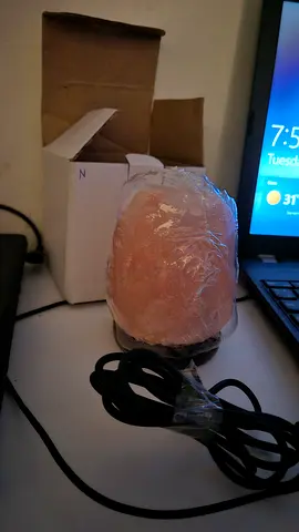 Himalayan Salt Lamp