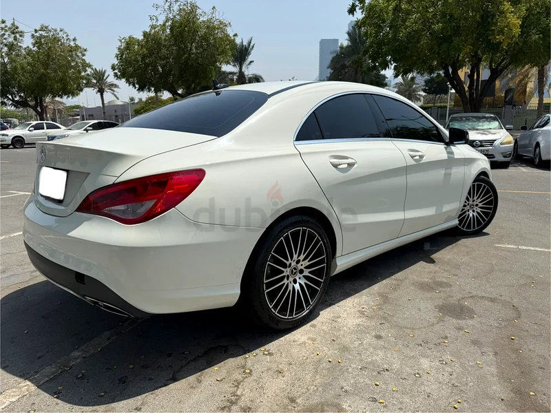 Neat and clean CLA 25063231161129603113
