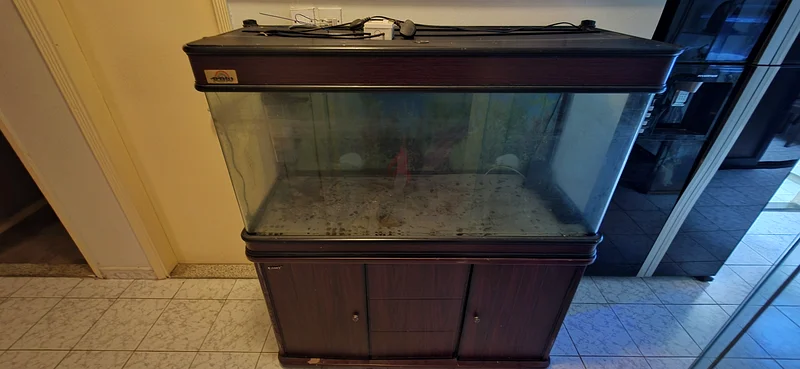 Fish Aquarium63233645113985111