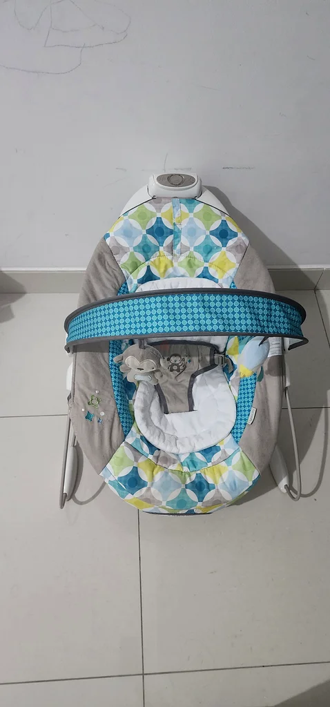 Baby bouncer63204264981762111