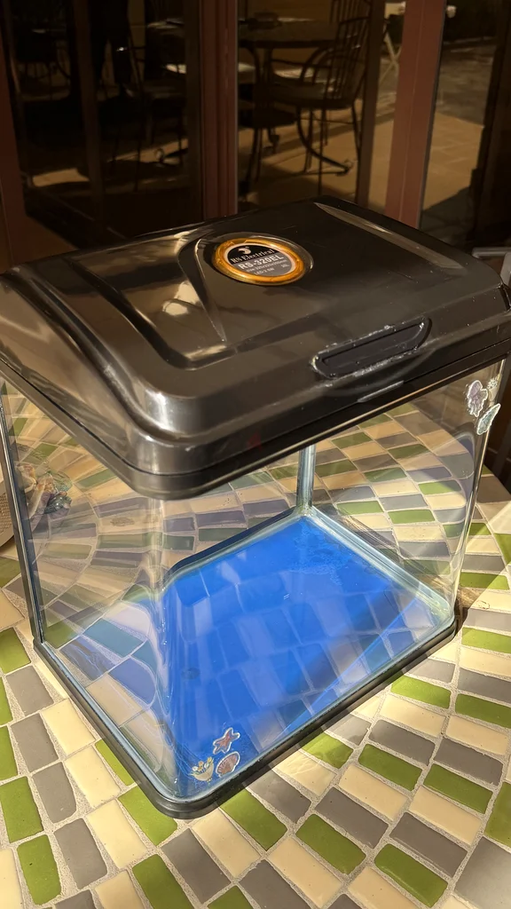 5 Gallon Fish Tank- Fish food, Filtration motor and tank cleaning pipe included!63235601101825113