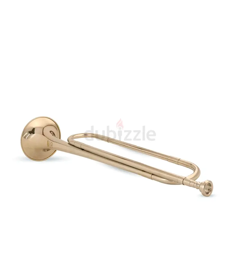 بوق65561043929603110