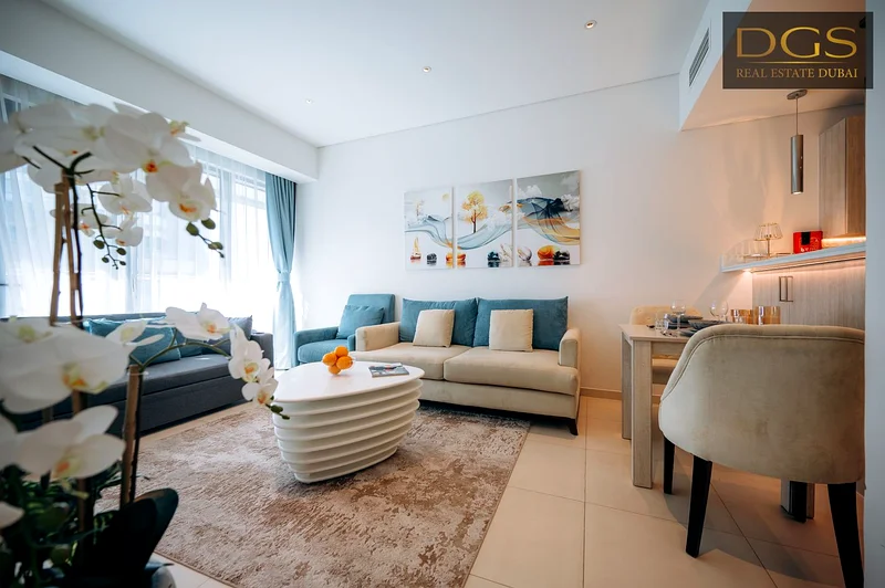 1BR Apt | Fully Furnished | Vacant63752265930755110