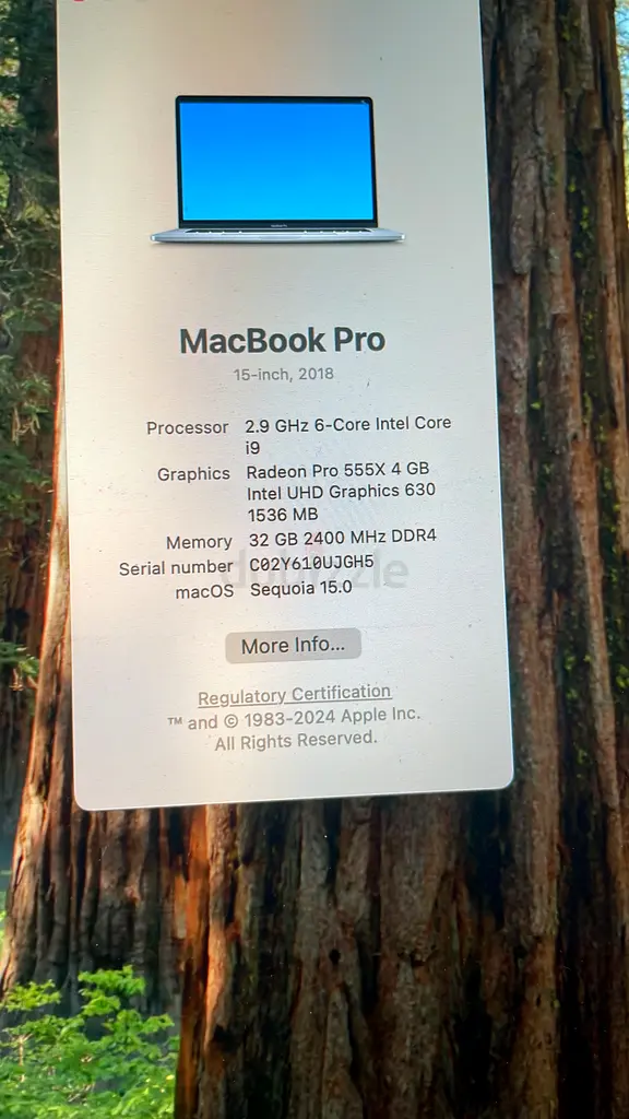 MacBook Pro 201863256604015233114
