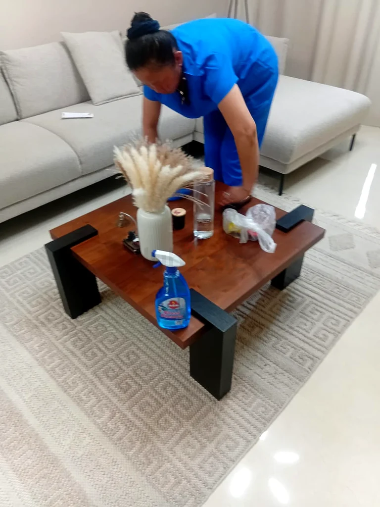 publix cleaning services63217829774337113