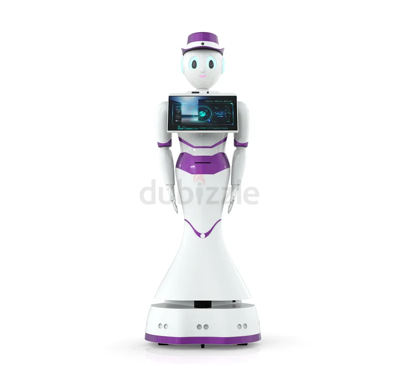 Smart Interactive Assistant Robot - Your Home Companion632635174827541116