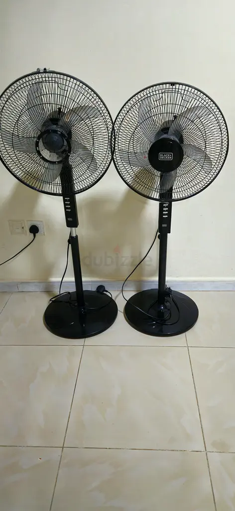 الشارقة، النهدة، ريف 263218800971779115