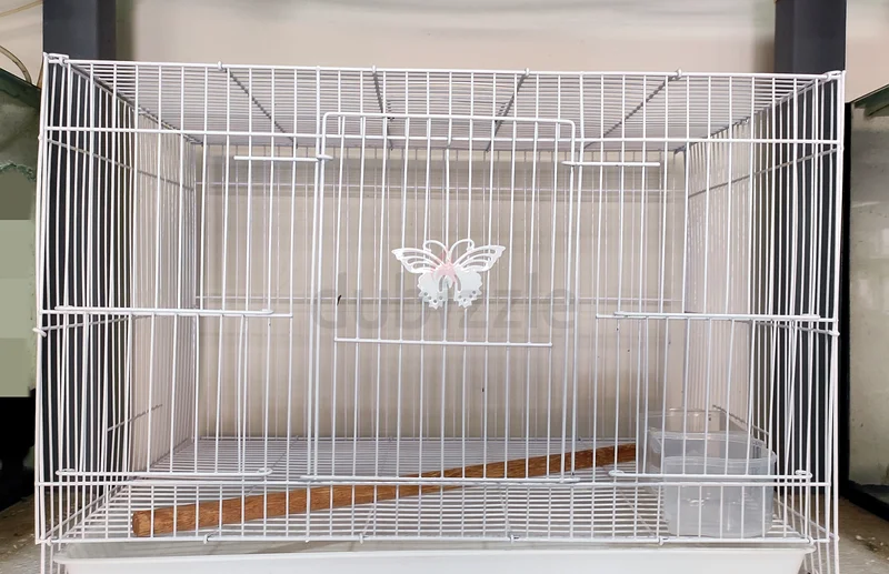 Bird cage brand new632316863201301129