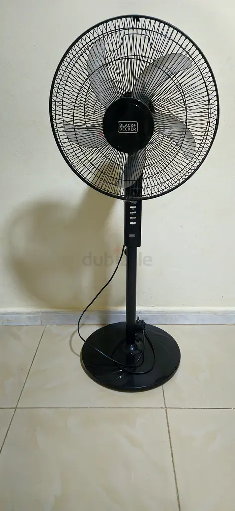 الشارقة، النهدة، ريف 263218800971779114