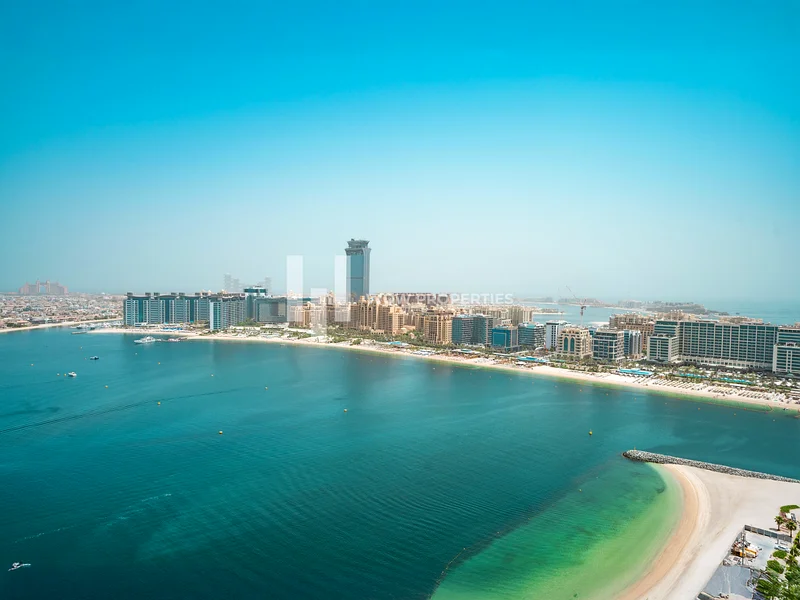 منظر خلاب على النخيل | شرفة منحنية | تخطيط واسع | جديد بالكامل63733317850241111