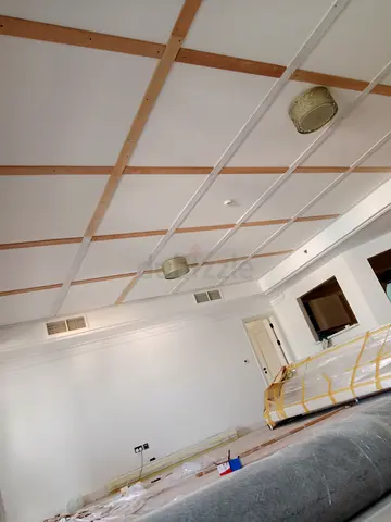Gypsum board carpenter and paint work
