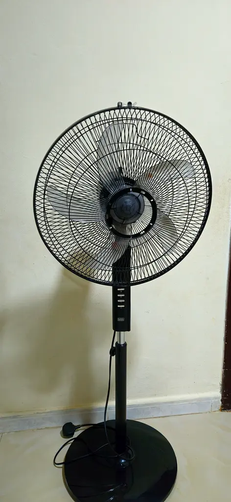 الشارقة، النهدة، ريف 263218800971779111