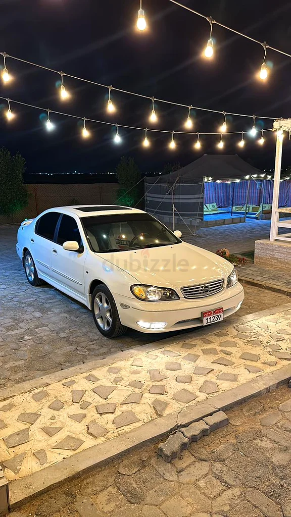 أبوظبي مدينة الشامخة شرق63148165194883111